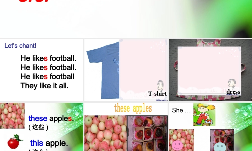 Module 4《Unit 2 He doesn’t like these trousers》ppt课件1.ppt