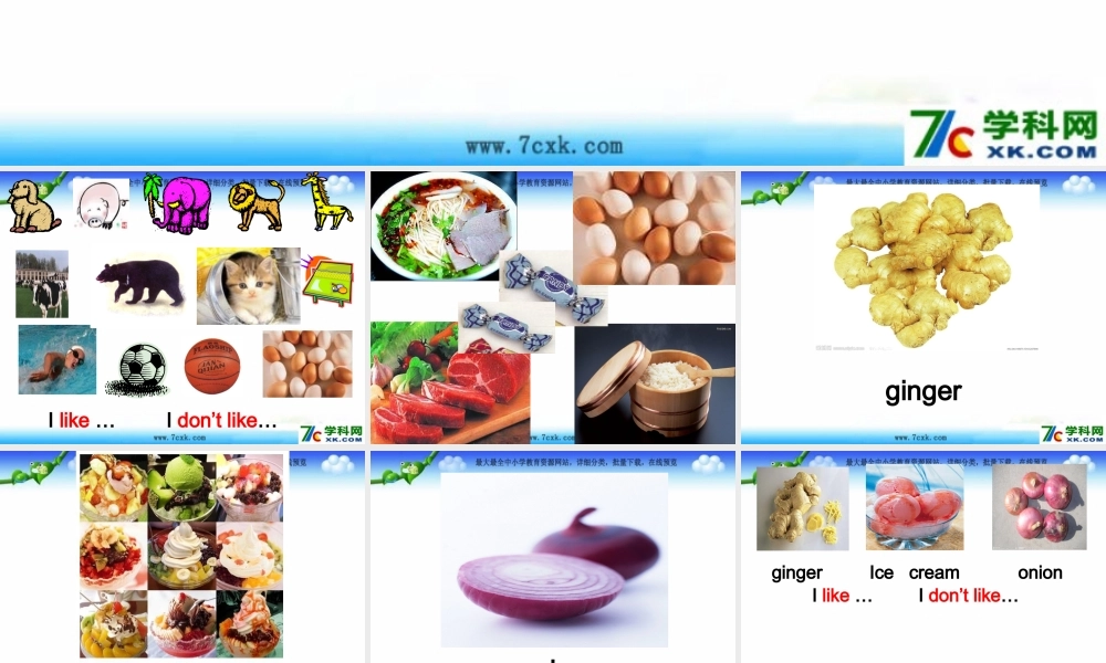 Module 2《Unit 2 I don’t like ginger》ppt课件2.ppt