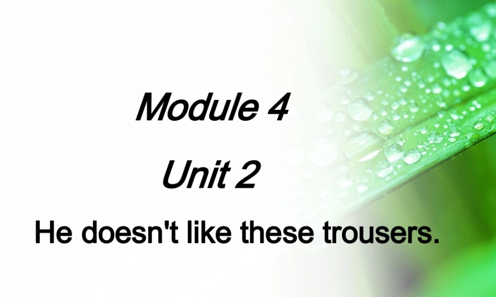 外研版（一起）二上Module 4《Unit 2 He doesn’t like these trousers》ppt课件4.ppt