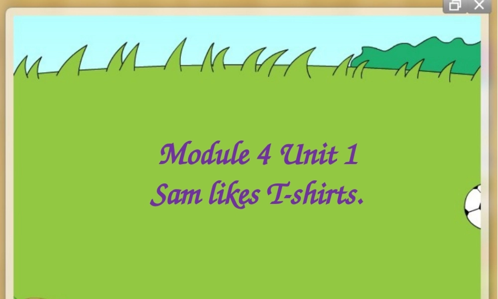 外研版（一起）二上Module 4《Unit 1 Sam like T-shirts》ppt课件5.pptx