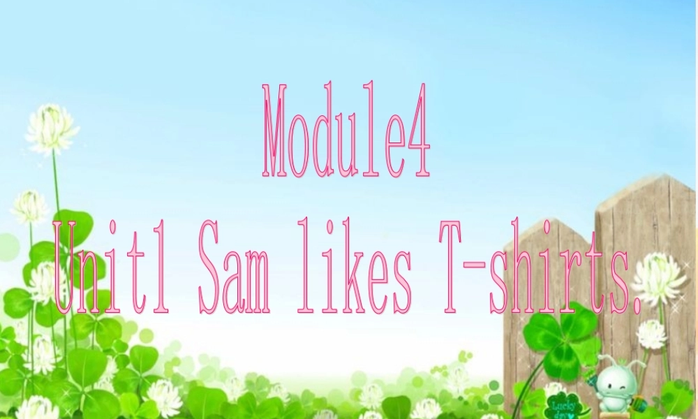 外研版（一起）二上Module 4《Unit 1 Sam like T-shirts》ppt课件4.ppt