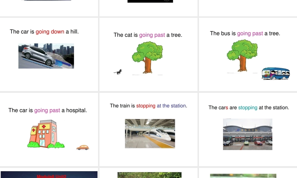 外研版（一起）二下Module 8《Unit 2 The horse is turning around》ppt课件2.ppt
