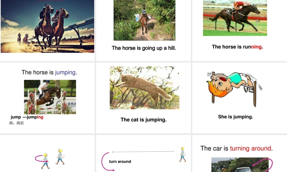 外研版（一起）二下Module 8《Unit 2 The horse is turning around》ppt课件2.ppt