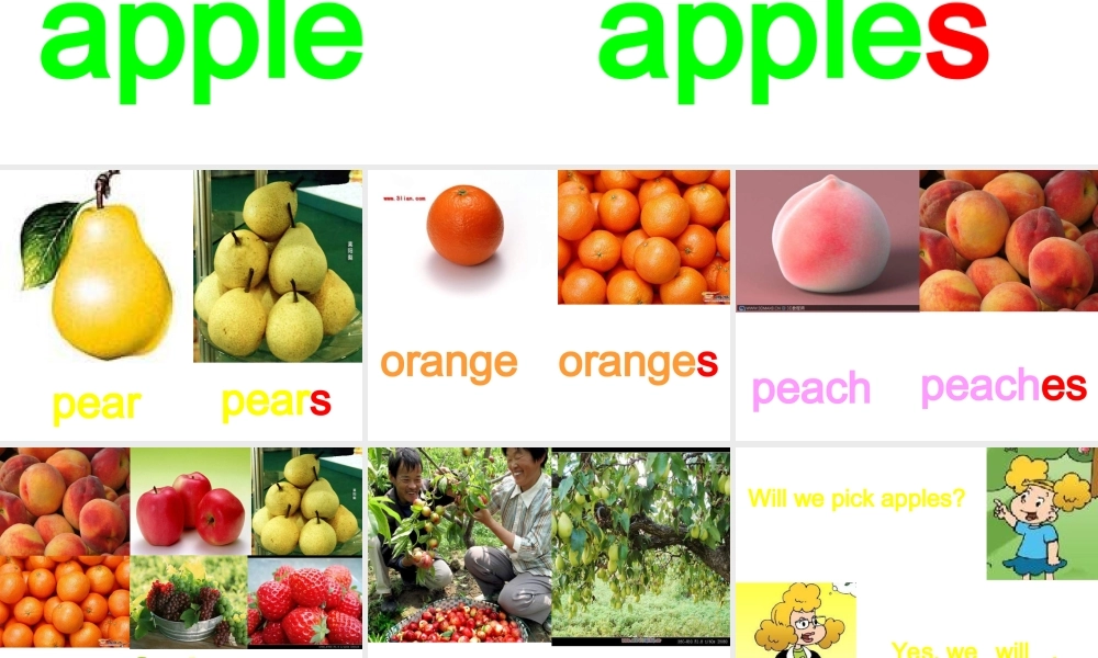 外研版一起小学英语三下《Module 4Unit 1 We'll pick fruit.》PPT课件 (1).ppt