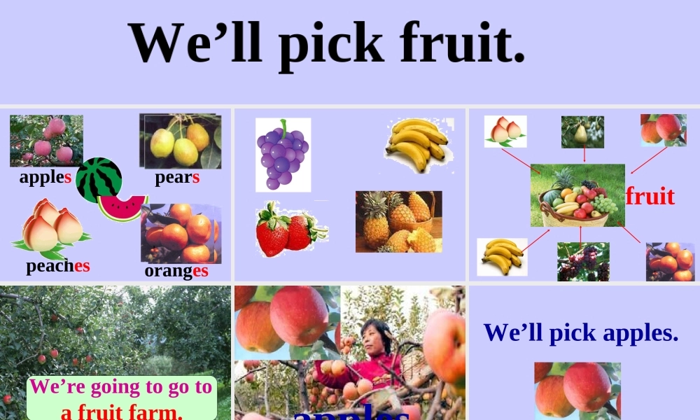 外研版一起小学英语三下《Module 4Unit 1 We'll pick fruit.》PPT课件 (2).ppt