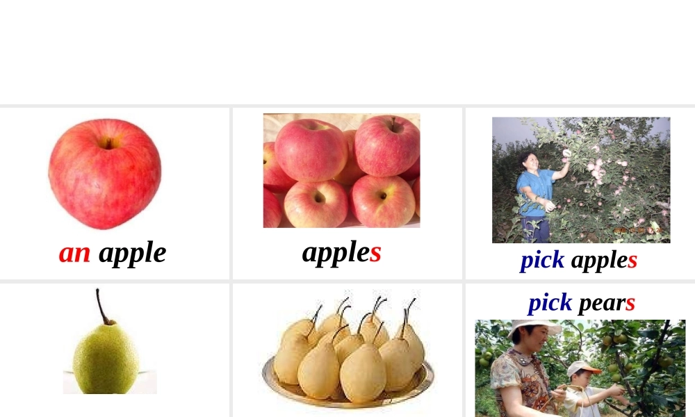 外研版一起小学英语三下《Module 4Unit 1 We'll pick fruit.》PPT课件 (3).ppt