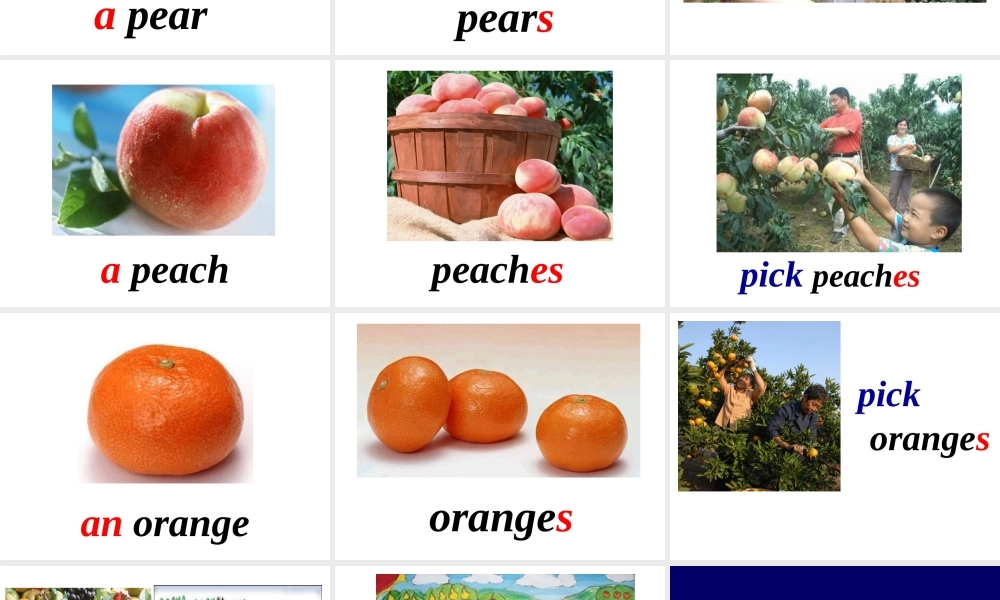 外研版一起小学英语三下《Module 4Unit 1 We'll pick fruit.》PPT课件 (3).ppt