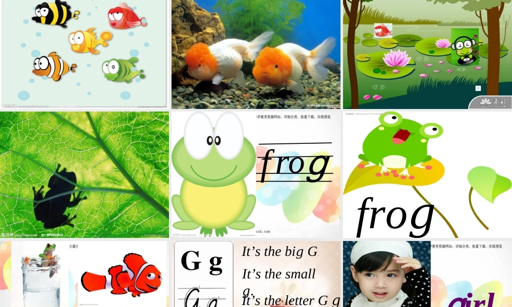 Module 3《Unit 2 Do they like apples》ppt课件1.ppt