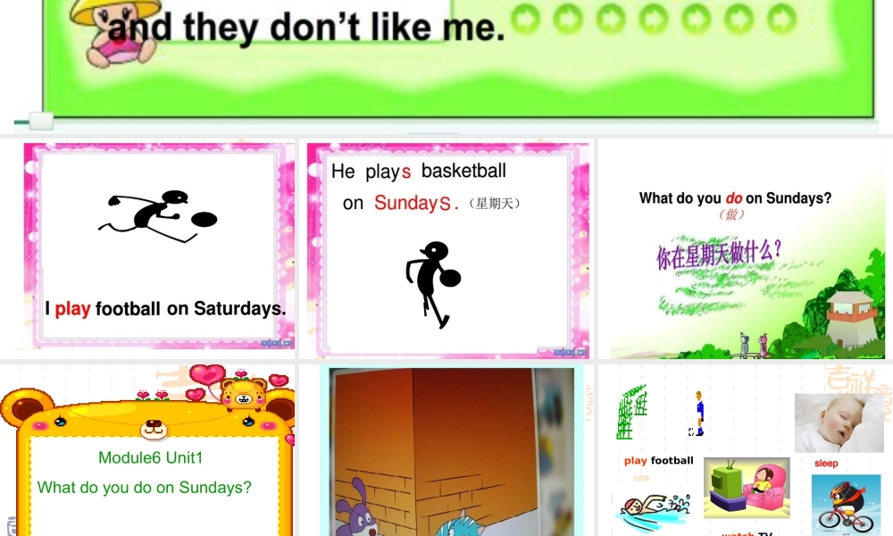 Module 6《Unit 1 What do you do on Sundays》ppt课件1.ppt
