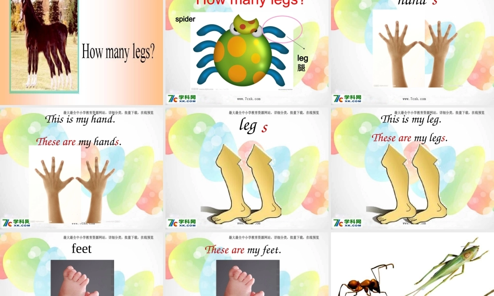 外研版（一起）一下Module 4《Unit 2 These are your legs》ppt课件2.ppt