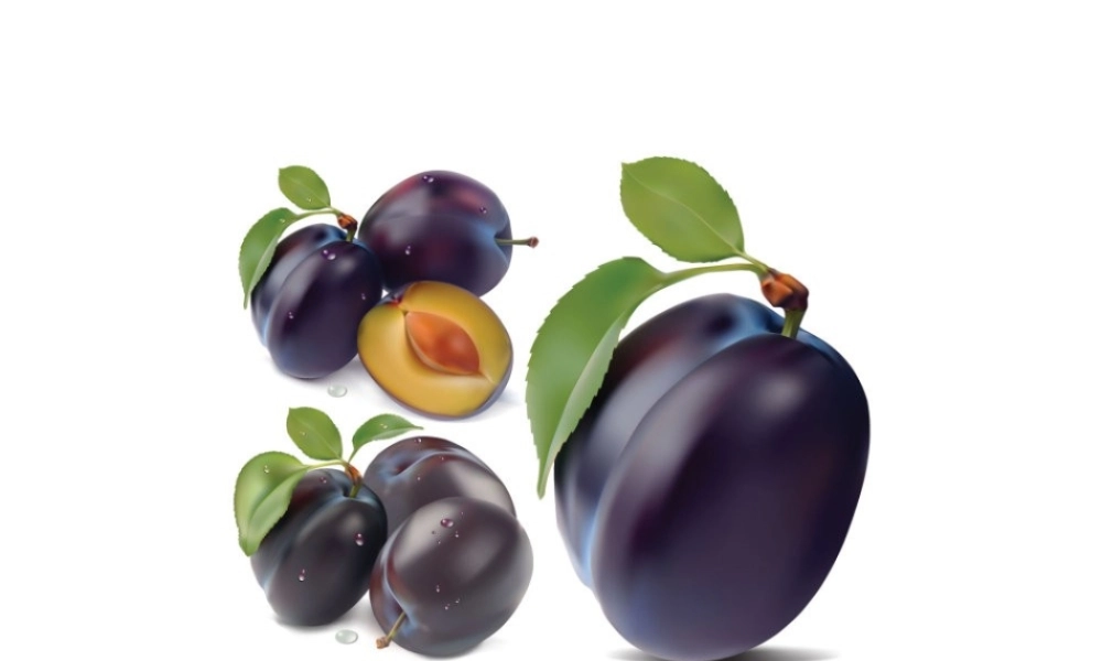 牛津译林苏教版小学英语六下《Unit 5 A party 》PPT课件 (4).ppt