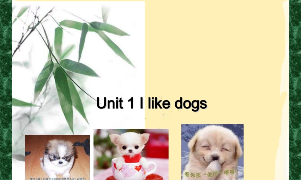 （译林版） 四年级英语上册《Unit 1 I like dogs》ppt课件2.ppt
