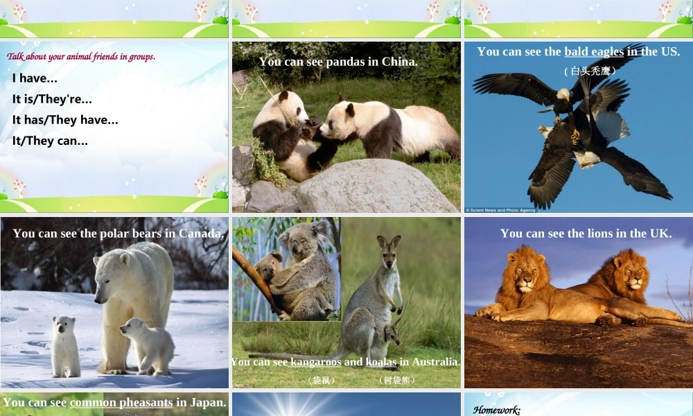 （译林版） 五年级英语上册 《Unit 3 Our animal friends》ppt课件1.ppt