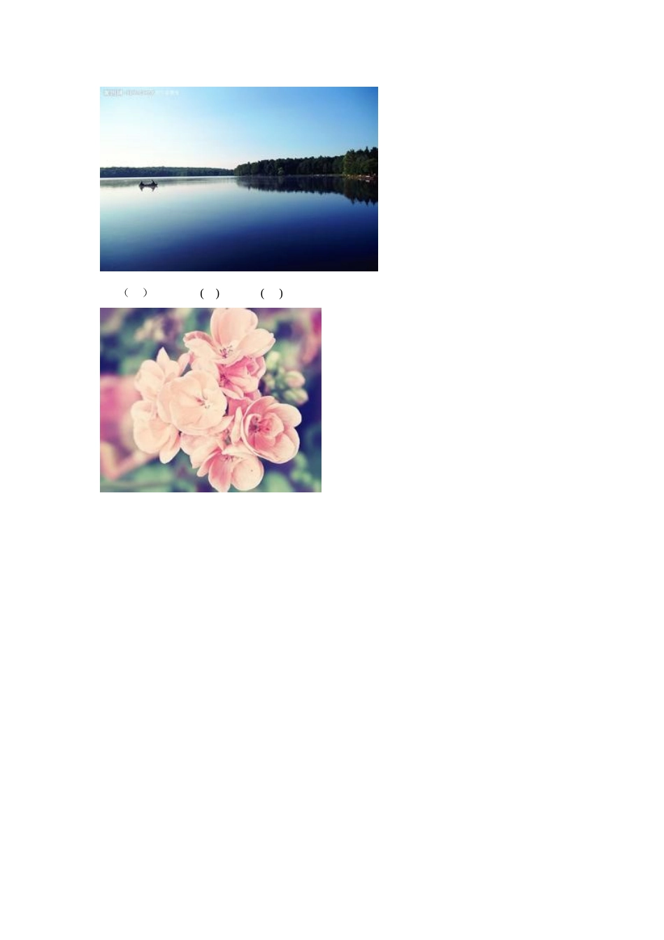 【精品】Unit4 Drawing in the park（含答案+重点解析）译林版(三起) -四年级英语下单元测试.doc_第2页