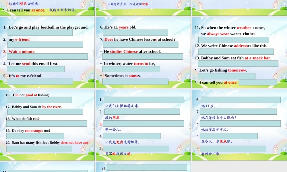 （译林版） 五年级英语上册 《Unit 6 My e-friend》ppt课件.ppt