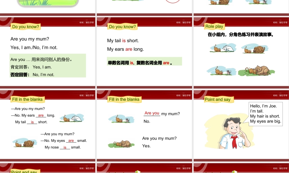 牛津上海版三上Unit 6《Me》（第2课时）ppt课件[旺旺：知行学堂].ppt