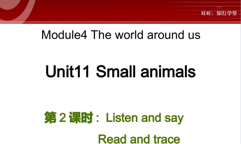 牛津上海版三上Unit 11《Small animals》（第2课时）ppt课件[旺旺：知行学堂].ppt