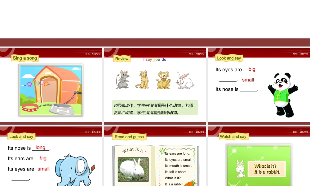 牛津上海版三上Unit 11《Small animals》（第2课时）ppt课件[旺旺：知行学堂].ppt