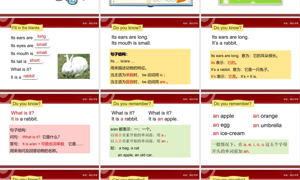 牛津上海版三上Unit 11《Small animals》（第2课时）ppt课件[旺旺：知行学堂].ppt