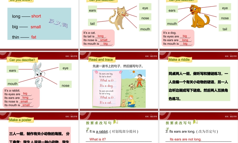 牛津上海版三上Unit 11《Small animals》（第2课时）ppt课件[旺旺：知行学堂].ppt