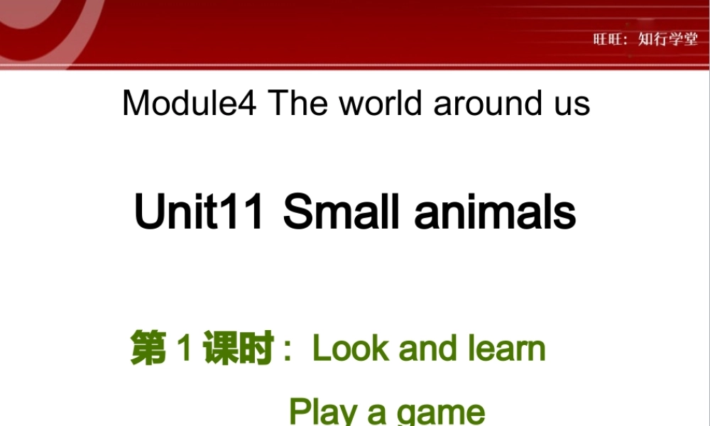 牛津上海版三上Unit 11《Small animals》（第1课时）ppt课件[旺旺：知行学堂].ppt