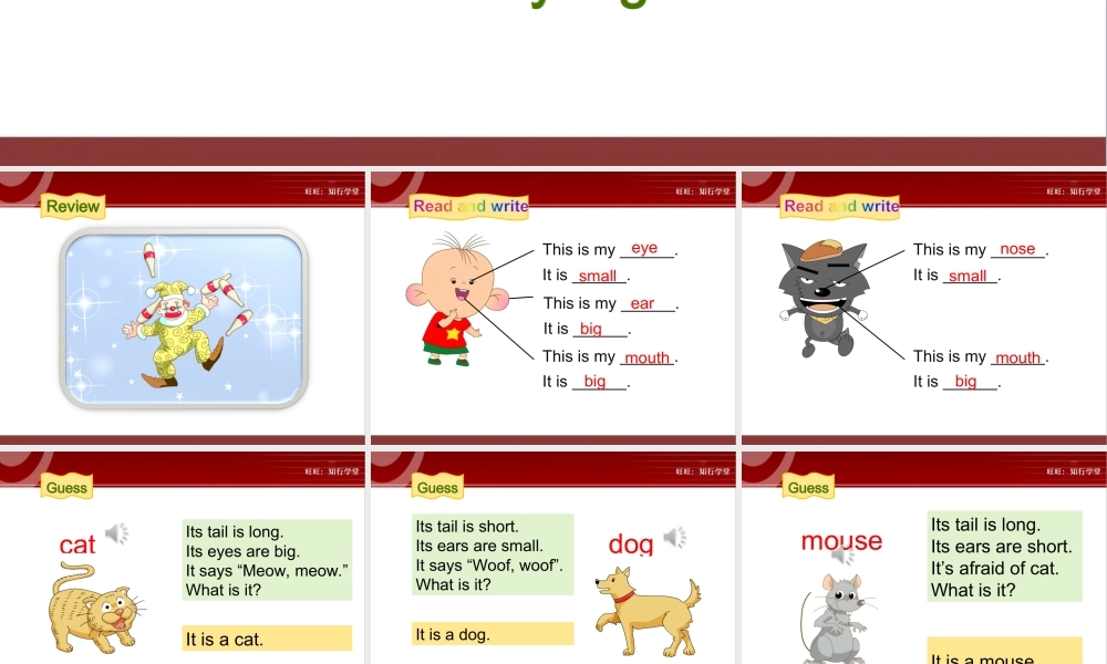 牛津上海版三上Unit 11《Small animals》（第1课时）ppt课件[旺旺：知行学堂].ppt