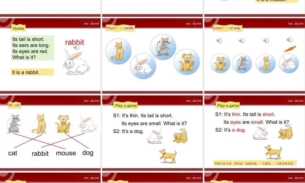 牛津上海版三上Unit 11《Small animals》（第1课时）ppt课件[旺旺：知行学堂].ppt