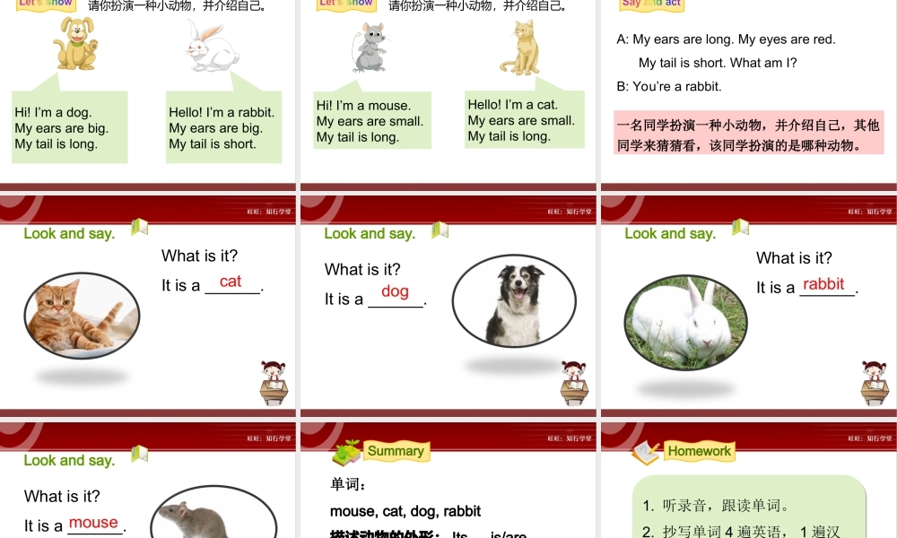 牛津上海版三上Unit 11《Small animals》（第1课时）ppt课件[旺旺：知行学堂].ppt