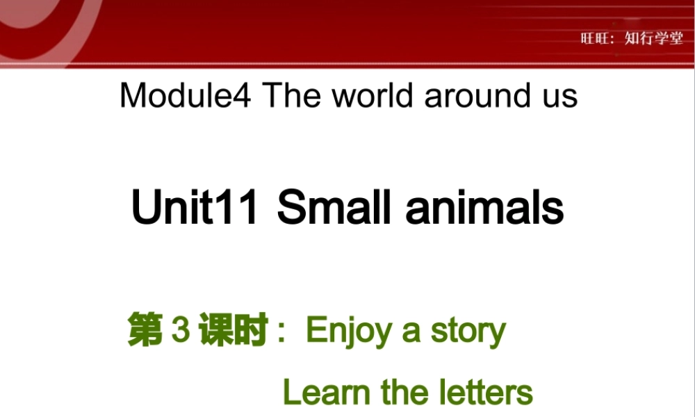 牛津上海版三上Unit 11《Small animals》（第3课时）ppt课件[旺旺：知行学堂].ppt