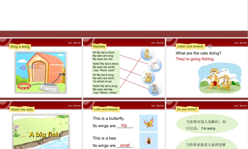 牛津上海版三上Unit 11《Small animals》（第3课时）ppt课件[旺旺：知行学堂].ppt