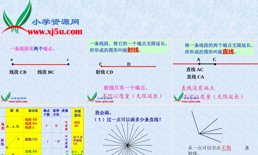 沪教小学数学四上《5.2线段、射线、直线》PPT课件 (1).ppt