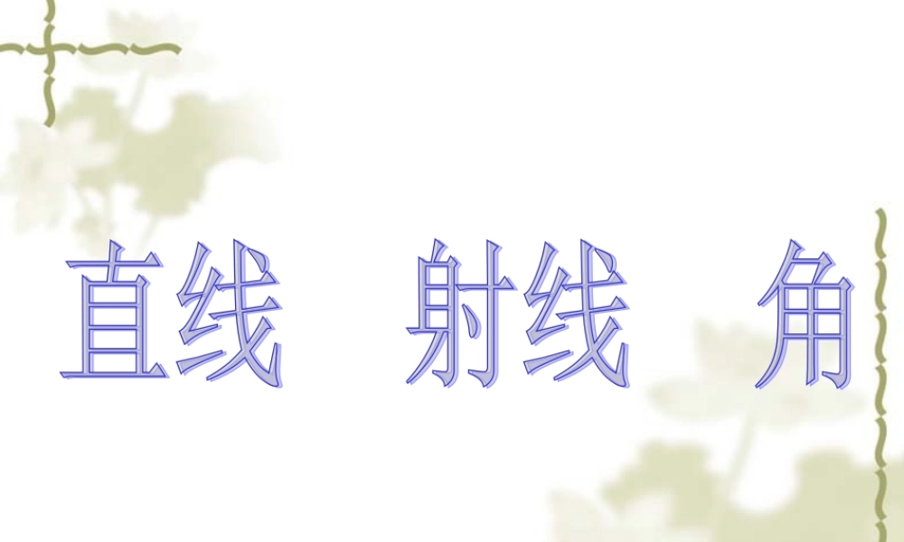 沪教小学数学四上《4.6运算定律》PPT课件 直线 射线 角 (1).ppt