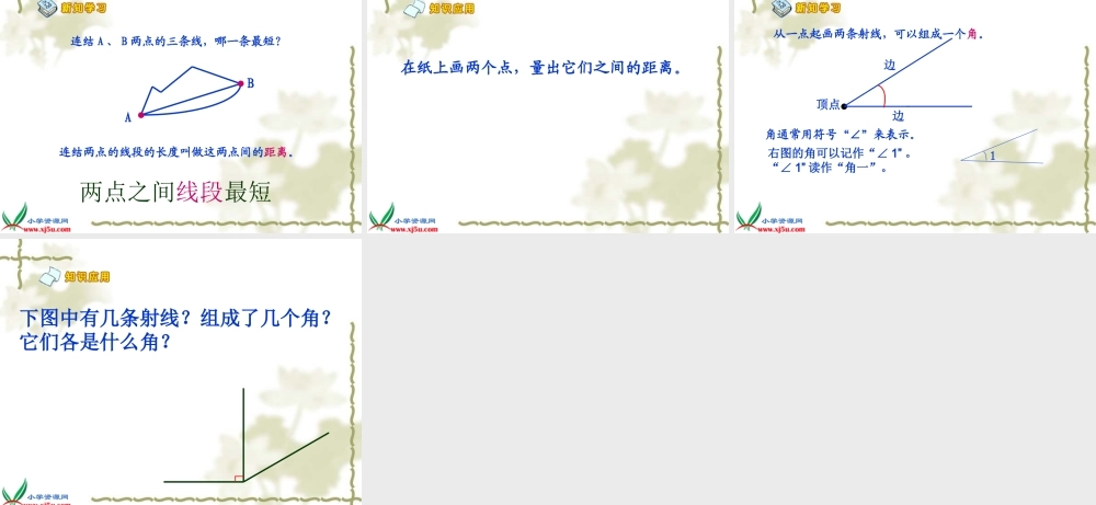 沪教小学数学四上《4.6运算定律》PPT课件 直线 射线 角 (1).ppt