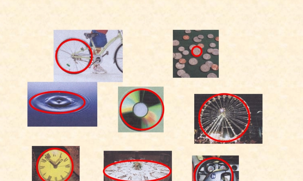 沪教小学数学四上《5.1圆的初步认识》PPT课件 (7).ppt