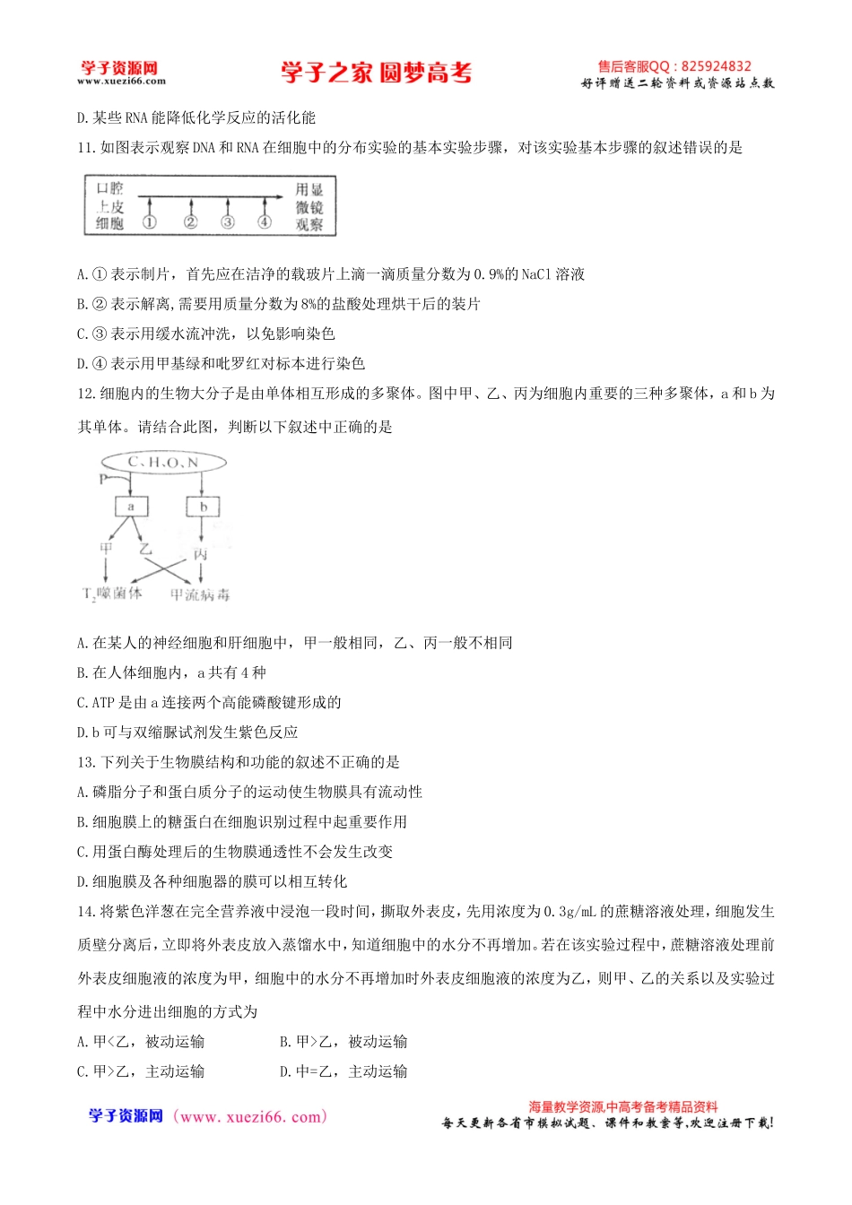 【全国百强校word】河北省衡水中学高三上学期一调考试生物试题.doc_第3页