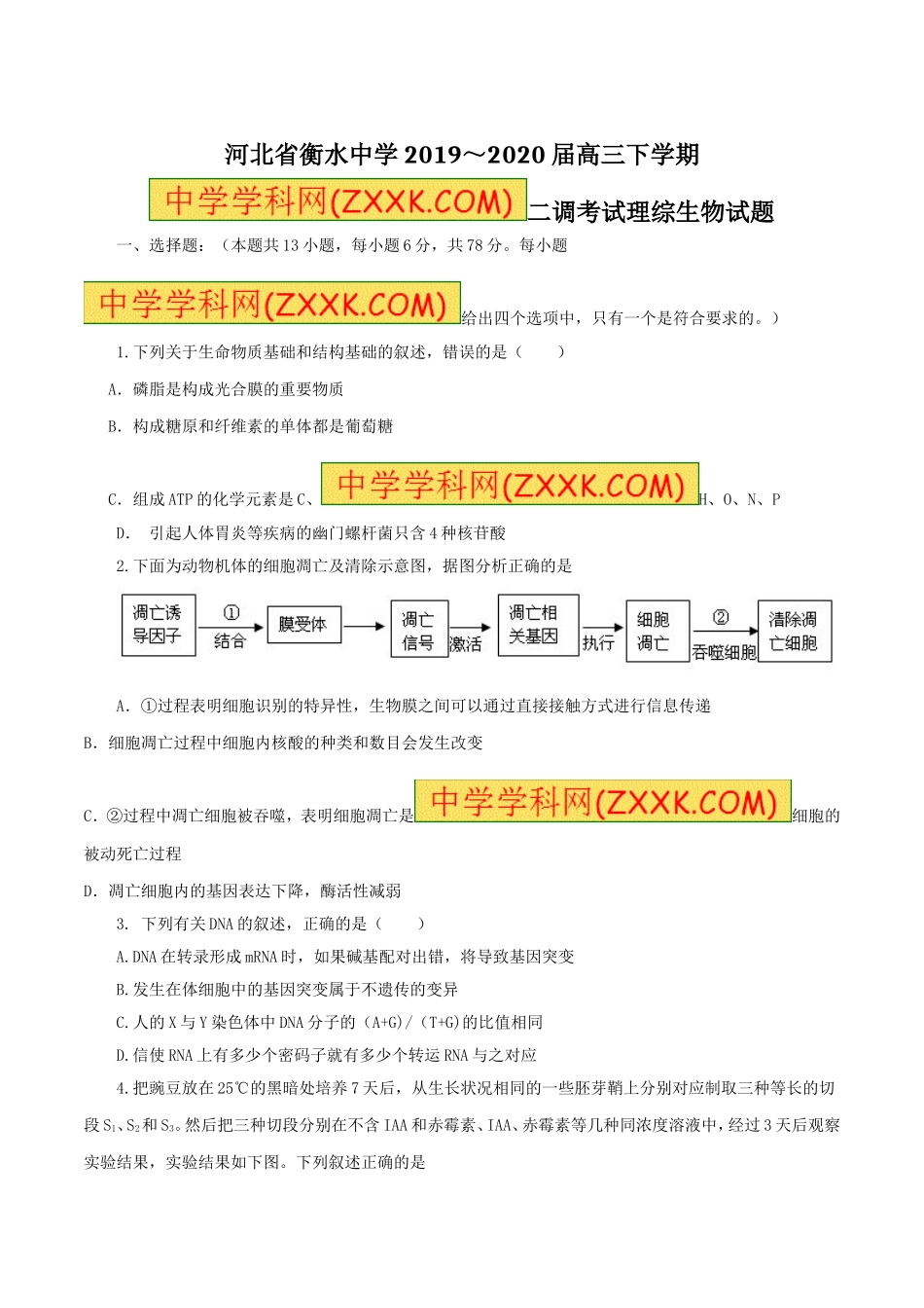 精品解析：【全国百强校首发】河北省衡水中学2020届高三下学期第二次调研考试理综生物试题解析（原卷版）.doc_第1页