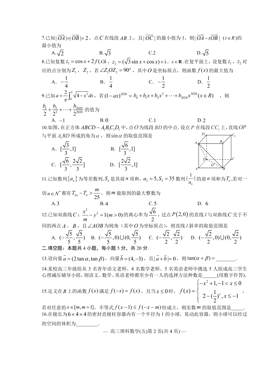 江西省南昌市2020届高三第二轮复习测试卷理科数学（五） PDF版含解析.pdf_第2页