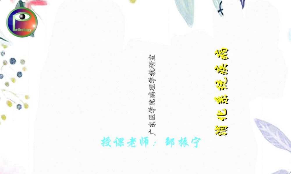 2023年肝炎（教学课件）.ppt