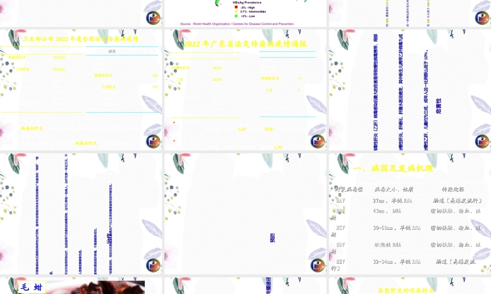 2023年肝炎（教学课件）.ppt