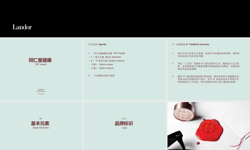 同仁堂健康母品牌项目设计提案.pptx