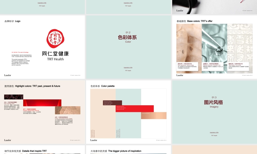 同仁堂健康母品牌项目设计提案.pptx