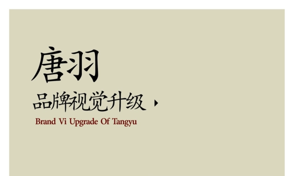 唐羽-品牌视觉升级.pptx