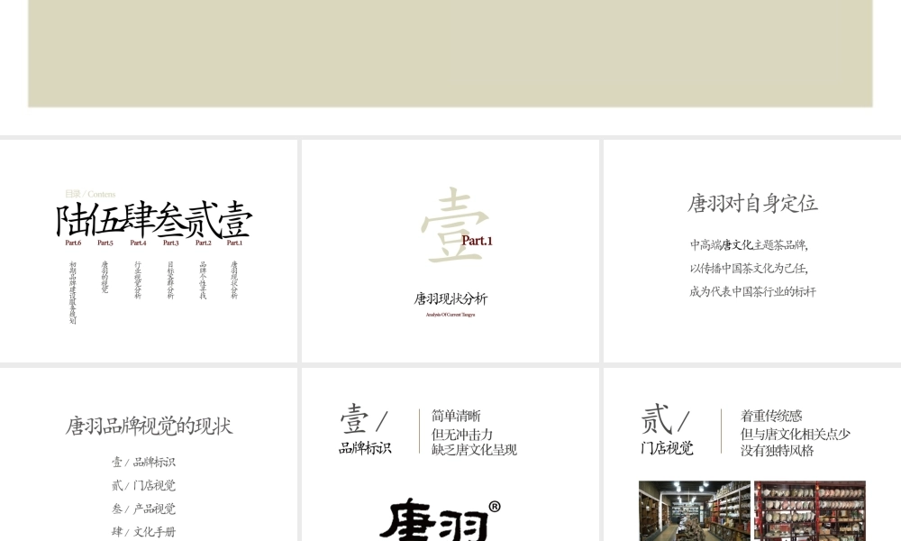 唐羽-品牌视觉升级.pptx