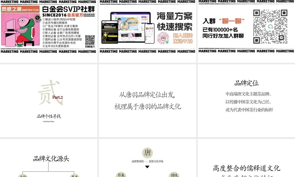 唐羽-品牌视觉升级.pptx
