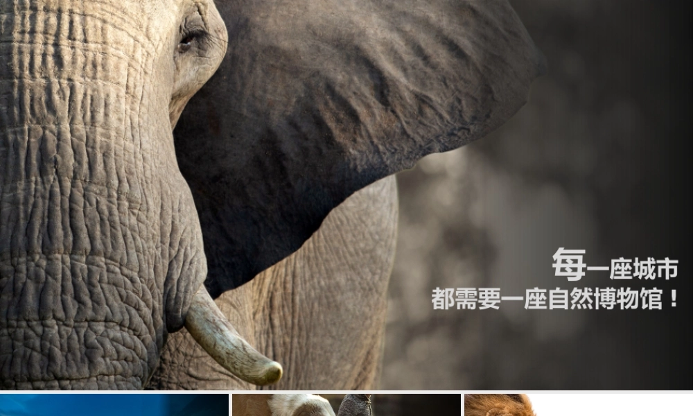 长沙自然博物馆建设规划初案.pptx