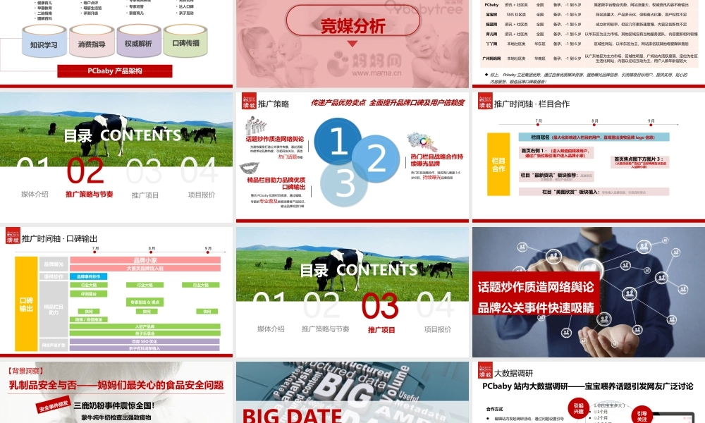【PCbaby】澳牧品牌推广方案.pptx