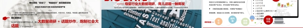 【PCbaby】澳牧品牌推广方案.pptx