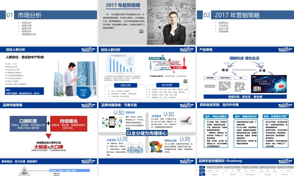 16.海尔冰箱2017电商论证.pptx