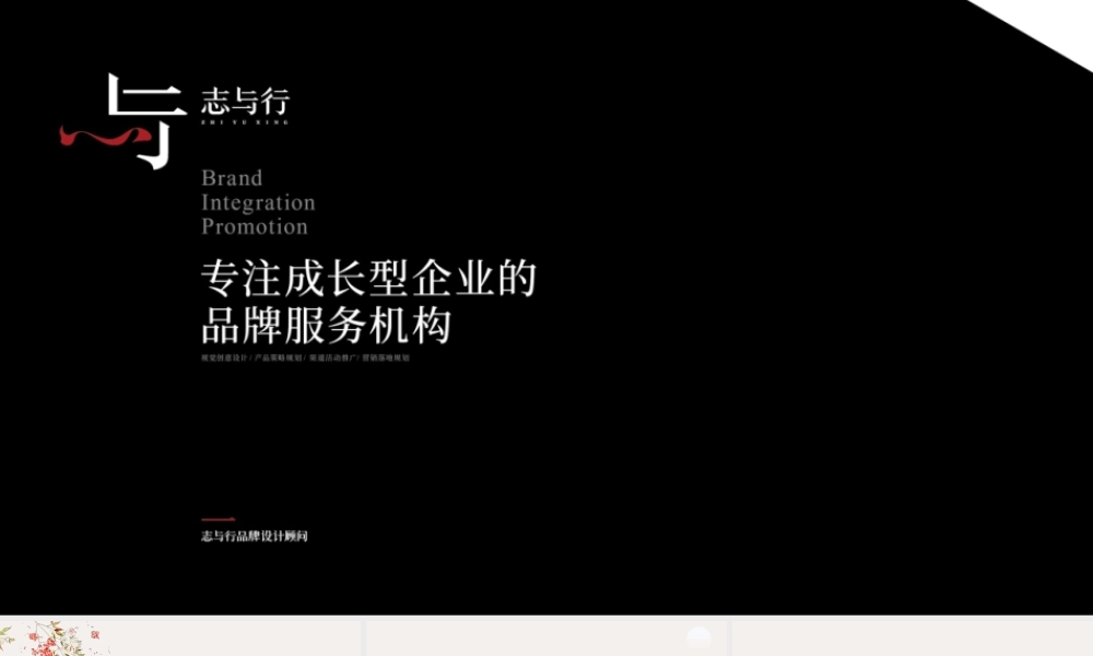 25.雅钲品牌营销建议案补充方案.pptx