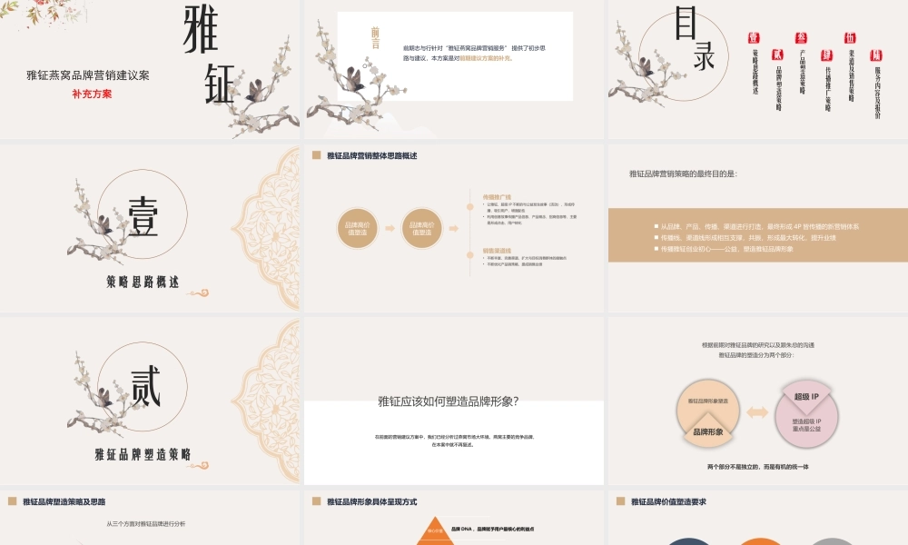 25.雅钲品牌营销建议案补充方案.pptx